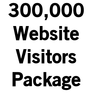 bitcoinsubscribers.com-buy-300000-website-visitors-package